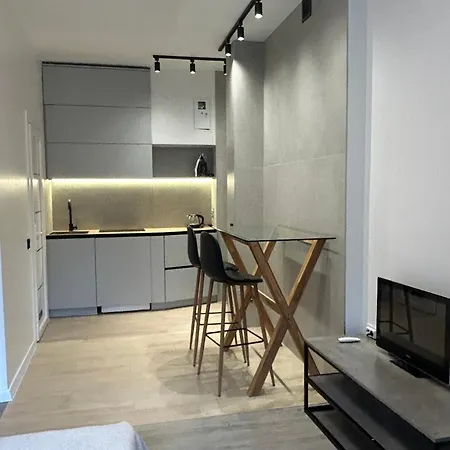 Miamo Apart Студія З Терасою Вул Кубійовича 20 Lviv Exterior photo